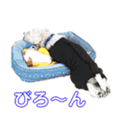 おジョイさん（個別スタンプ：26）