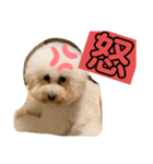 ココ.シュシュスタンプ（個別スタンプ：34）