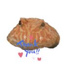 カエル時々カメ（個別スタンプ：8）