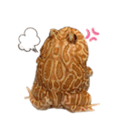 カエル時々カメ（個別スタンプ：17）