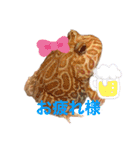 カエル時々カメ（個別スタンプ：24）