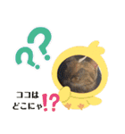 ちまこデイリーに使えるかな？（個別スタンプ：7）