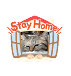 ちまこデイリーに使えるかな？（個別スタンプ：11）