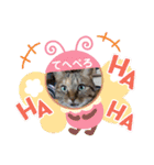 ちまこデイリーに使えるかな？（個別スタンプ：20）