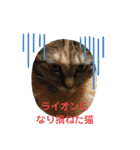 ちまこデイリーに使えるかな？（個別スタンプ：22）