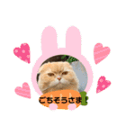 わかちゃんとふくちゃん3（個別スタンプ：1）