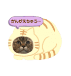 わかちゃんとふくちゃん3（個別スタンプ：6）