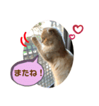 わかちゃんとふくちゃん3（個別スタンプ：9）
