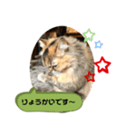 わかちゃんとふくちゃん3（個別スタンプ：11）