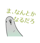 すべてがハトになる（個別スタンプ：5）