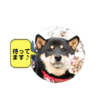 まろあんスタンプ3（個別スタンプ：8）