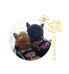 まろあんスタンプ3（個別スタンプ：27）