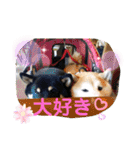 まろあんスタンプ3（個別スタンプ：32）