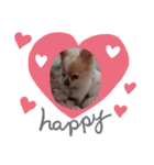 ♥プティさん♥（個別スタンプ：3）