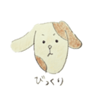 わんこのわんわん（個別スタンプ：13）