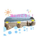 のんひめるり3ワンs"楽しい編（個別スタンプ：5）