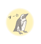 鉛筆ペンギン（個別スタンプ：9）