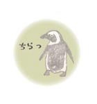 鉛筆ペンギン（個別スタンプ：14）