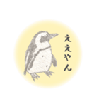 鉛筆ペンギン（個別スタンプ：16）