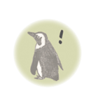 鉛筆ペンギン（個別スタンプ：17）