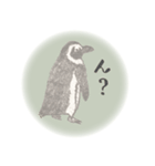 鉛筆ペンギン（個別スタンプ：18）