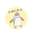 鉛筆ペンギン（個別スタンプ：19）