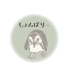 鉛筆ペンギン（個別スタンプ：21）