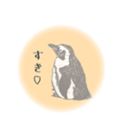 鉛筆ペンギン（個別スタンプ：23）
