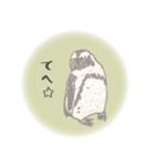 鉛筆ペンギン（個別スタンプ：24）