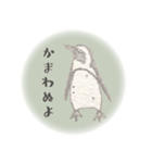 鉛筆ペンギン（個別スタンプ：28）