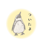 鉛筆ペンギン（個別スタンプ：35）