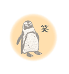 鉛筆ペンギン（個別スタンプ：36）