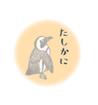 鉛筆ペンギン（個別スタンプ：39）