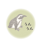 鉛筆ペンギン（個別スタンプ：40）