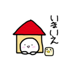 そらのハクくん（個別スタンプ：1）