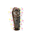 ほのぼのムーちゃん（個別スタンプ：1）