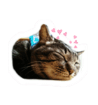 ほのぼのムーちゃん（個別スタンプ：4）