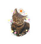 ほのぼのムーちゃん（個別スタンプ：8）