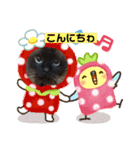 三男z（個別スタンプ：1）