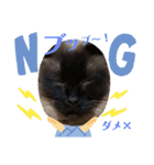 三男z（個別スタンプ：7）