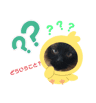 三男z（個別スタンプ：8）