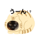 三男z（個別スタンプ：11）