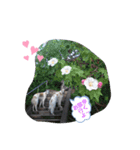 ボルゾイ borzoi（個別スタンプ：2）
