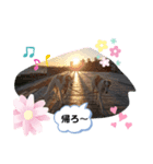 ボルゾイ borzoi（個別スタンプ：4）