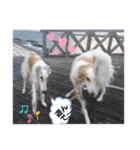 ボルゾイ borzoi（個別スタンプ：5）