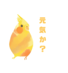 関西弁を喋る文鳥（個別スタンプ：1）