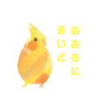 関西弁を喋る文鳥（個別スタンプ：4）