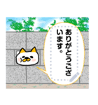 猫のむーくんのメッセージスタンプ（個別スタンプ：15）