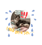 モモによると。。。（個別スタンプ：1）