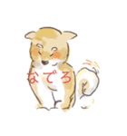 しばけん。（個別スタンプ：2）